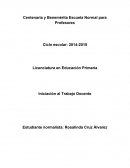 Ensayo de Iniciación al trabajo docente