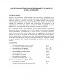 AMPLIFICADOR OPERACIONAL DE ENTRADA JFET DE ANCHO DE BANDA ANCHO LF351