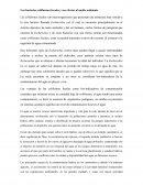 Las bacterias coliformes fecales y sus efectos al medio ambiente