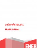 Guía Práctica del Trabajo Final - MARKETING