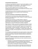 ¿Por qué es importante el comportamiento organizacional?