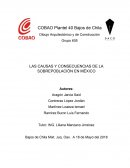LAS CAUSAS Y CONSECUENCIAS DE LA SOBREPOBLACIÓN EN MÉXICO
