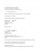 Formato guía de actividades y rúbrica de evaluación