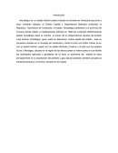 Conservacion del patrimonio cultural y artesanal