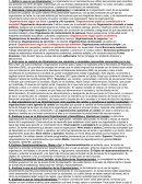 Guia de organización empresarial