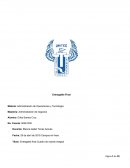 Cuadro de mando integral . Análisis de la cadena de valor en la empresa