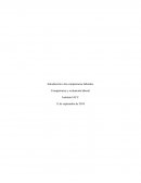 Introducción a las competencias laborales - tarea 1