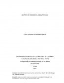 GESTIÓN DE RIESGOS EN ASEGURADORAS