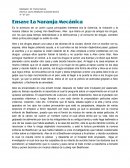 Ensayo La Naranja Mecánica