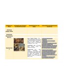 LITERATURA, CARACTERÍSTICAS PRINCIPALES DE CADA ÉPOCA