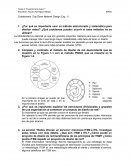 Cuestionario (Top Down Network Design Cap. 1)