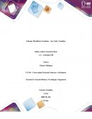 Propuesta Acción Solidaria