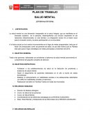 PLAN DE TRABAJO SALUD MENTAL