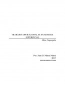 TRABAJOS OPERACIONALES EN MINERÍA SUPERFICIAL