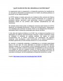 ¿Qué hacen en pro del desarrollo sustentable?”