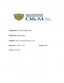 Que significado tiene para una organizacion contar con un apoyo tecnico