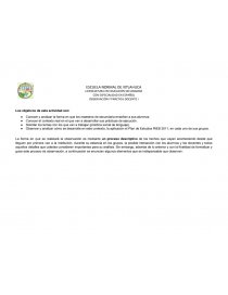 OBSERVACIÓN Y PRÁCTICA DOCENTE I. Página 1