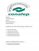 GIRO DE LA EMPRESA JEMEY S.A DE C.V