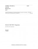 Norma Técnica de Salsa Chutney