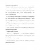 SOCIEDAD ANONIMA ABIERTA