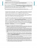 Practica escrita para hacer en equipo, que consistirá en la elaboración de un ensayo colectivo