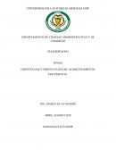 VENTAJAS Y DESVENTAJAS DEL ALMACENAMIENTO DOCUMENTAL