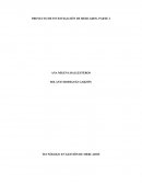 Proyecto de Investigación de Mercados