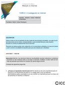 TAREA 3. Investigación en Internet COMERCIO EXTERIOR
