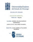 Educacion Ambiental . ¿Qué son los residuos sólidos?