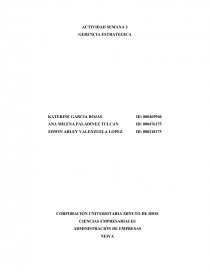 СASO EMPRESA QUESOS ANDINO S.A. Página 1