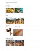 REGIONES NATURALES DE COLOMBIA