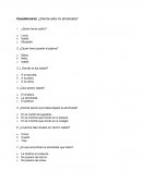 Cuestionario: ¿Donde esta mi almohada?