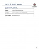 Formato Informe ejecutivo Caso Bodega de Restaurant