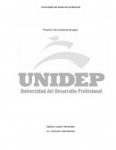 Proyecto micro empresa de jugos