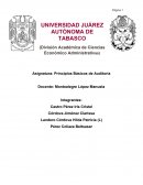 Principios Básicos de Auditoria