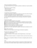 Sistemas sub-superficiales de Producción