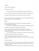 Comunicación lingüística