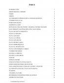 Actividades turísticas de la Ciudad de Manta