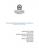 Informe Laboratorio de rocas-Geomecanica