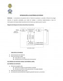 Introduccion Electronica de Potencia