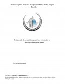 Profesorado de educación especial con orientación en discapacidades intelectuales