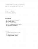 PROYECTO INTEGRADOR “ESTABILIZADOR DE CAMILLA”