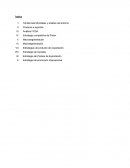 Trabajo final de Plan Comercial Internacional. El jugo de granada