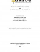 ANALISIS ORGANIZACIONAL DE LA EMPRESA IBG