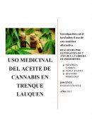 USO MEDICINAL DEL ACEITE DE CANNABIS EN TRENQUE LAUQUEN