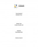 Resolución de caso Finanzas, empresa el TEAM