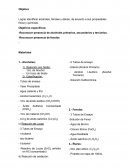 Laboratorio- Alcoholes, fenoles y eteres