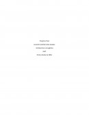 Proyecto Final Introduccion a la Logistica