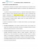 POLITICAS PÚBLICAS DE SEGURIDAD PÚBLICA