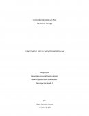 EL POTENCIAL DE UNA MENTE DISCIPLINADA